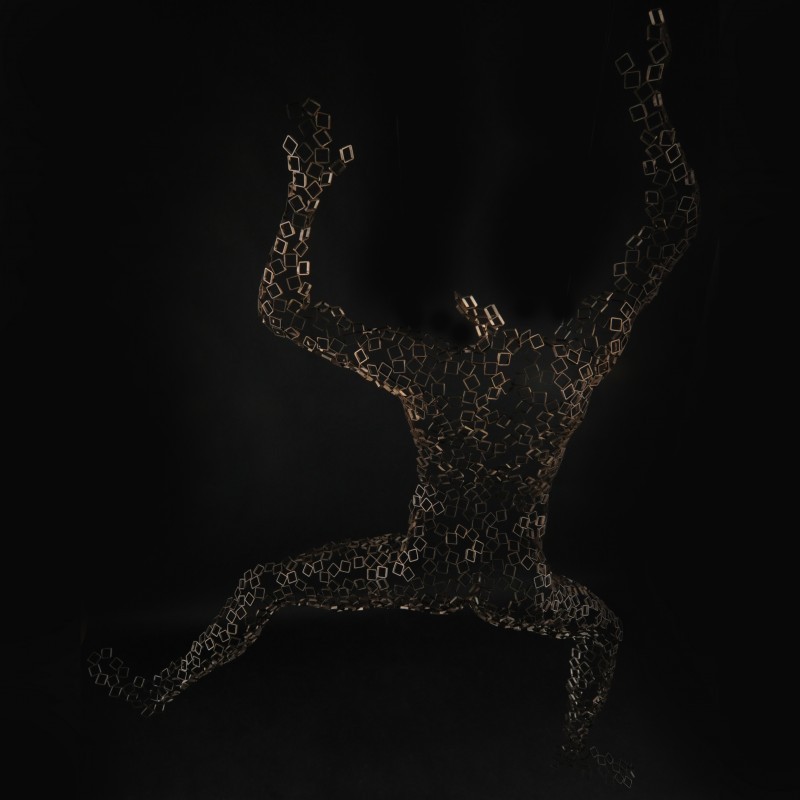 collection-image